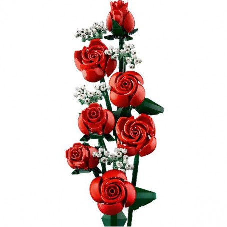 TBD-ICONS-BOTANICALS-1-2024