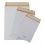 CF100 SACCHETTI SECURSAC 23X33
