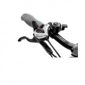 ARGENTO E-BIKE BIMAX XL