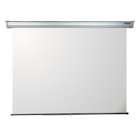 SCHERMO MANUALE PLATINUM 220X165 - TELA BIANCA
