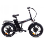 RAAKS BICICLETTA ELETTRICA
