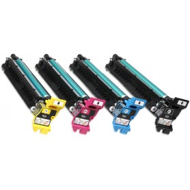Epson Fotoconduttore Magenta (C13S051176)