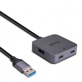 Lindy 43388 hub di interfaccia USB 3.2 Gen 1 (3.1 Gen 1) Type-A 5000 Mbit/s Nero, Grigio