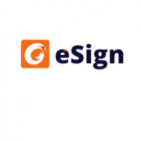 ESIGN ESSENTIALS SUB 1-1000+