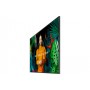 Samsung QH65C Pannello piatto per segnaletica digitale 165,1 cm (65") LCD Wi-Fi 700 cd/m² 4K Ultra HD Nero Tizen 24/7