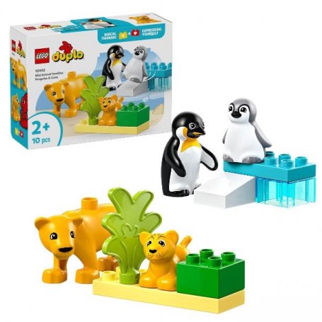 FAMIGLIE ANIMALI PINGUINI LEONI