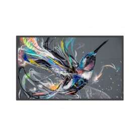 Philips 43BDL3550Q/00 visualizzatore di messaggi Pannello piatto interattivo 108 cm (42.5") LED 4K Ultra HD Nero (43BDL3550Q/00)
