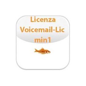 VOICEMAIL LICENSE FOR 1 PORT (2 - (02-00041-002)