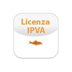 IPVA LICENSE (02-00043-002)