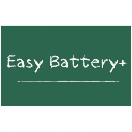 EASY BATTERY VIRTUALE (EB031WEB)