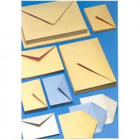 CF250 BUSTE GIALLE 25X35.3 GR100 (180A)