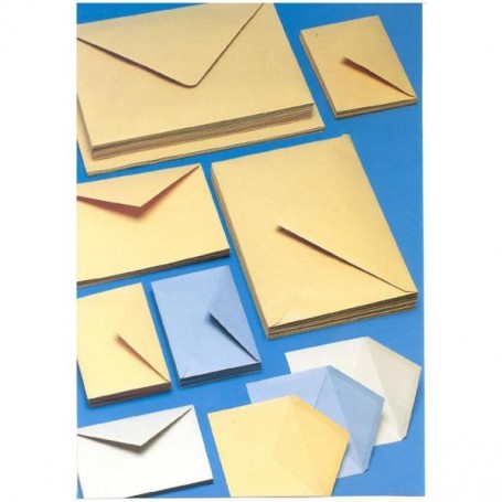 CF250 BUSTE GIALLE 25X35.3 GR100 (180A)