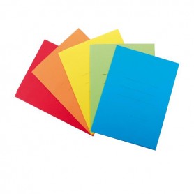 CF25CARTELLINE CARTEX 3L ASS VIVACI (617)