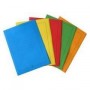 CF50 CARTELLINE 3L AZZURRO (300-B)