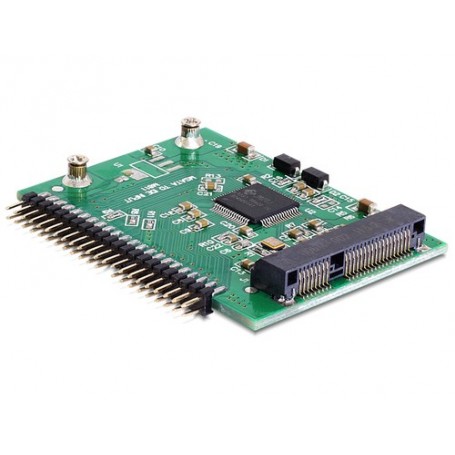 DeLOCK 62491 scheda di interfaccia e adattatore Interno mSATA (62491)