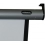 Celexon 1090112 schermo per proiettore 4:3 (1090112)