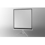 Celexon 1090271 schermo per proiettore 1:1 (1090271)
