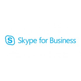Microsoft Lync SRV Plus CAL Int 1 licenza/e 3 anno/i (YEG-00245)