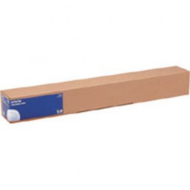 Epson Photo Paper Gloss carta fotografica Lucida (C13S041894)