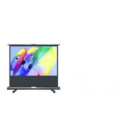 Optoma DP-9080MWL Portable Screen schermo per proiettore 2,03 m (80") 16:9 (DP-9080MWL)