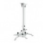 Hagor HA BDH supporto per proiettore Soffitto Acciaio inossidabile (5806)