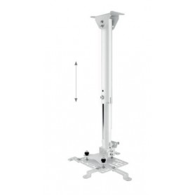 Hagor HA BDH supporto per proiettore Soffitto Acciaio inossidabile (5807)