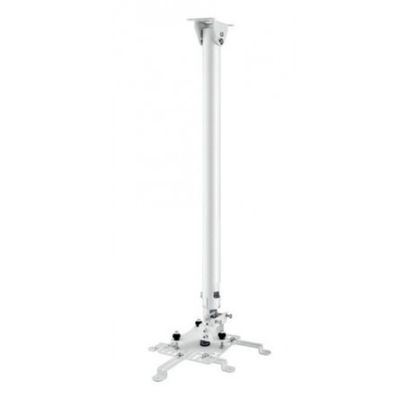 Hagor HA BDH supporto per proiettore Soffitto Acciaio inossidabile (5808)