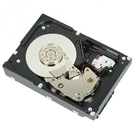 DELL 1D9NN disco rigido interno 3.5" 2000 GB SAS (1D9NN)