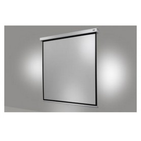 Celexon 1090775 schermo per proiettore 1:1 (1090775)
