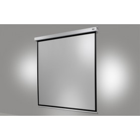 Celexon 1090757 schermo per proiettore 1:1 (1090757)