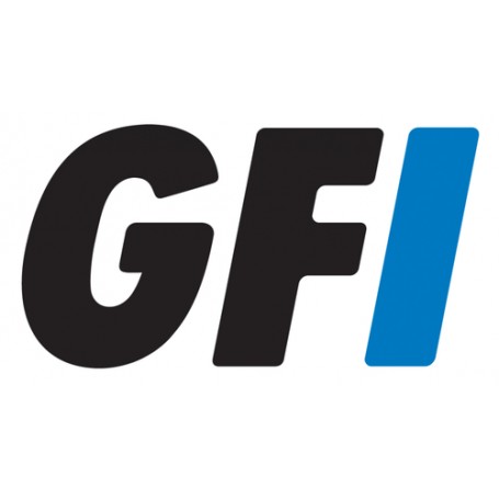 GFI 2XCFAX2Y licenza per software/aggiornamento 1 licenza/e Aggiuntivo 2 anno/i (2XCFAX2Y)