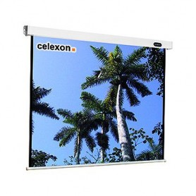 Celexon Mobil Expert 203 x 152cm schermo per proiettore 4:3 (1090335)