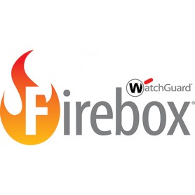 WatchGuard WG020010 licenza per software/aggiornamento 1 anno/i (WG020010)