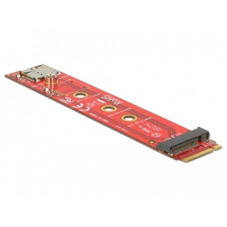 DeLOCK 65921 scheda di interfaccia e adattatore Interno M.2 (65921)