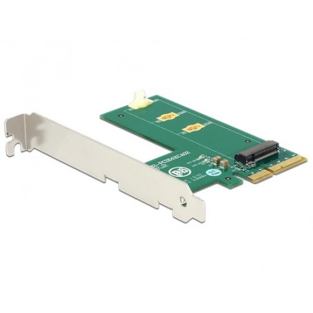DeLOCK 89561 scheda di interfaccia e adattatore Interno M.2 (89561)