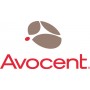 Vertiv Avocent 1YGLD-HMXMGR tassa di manutenzione e supporto 1 anno/i (1YGLD-HMXMGR)