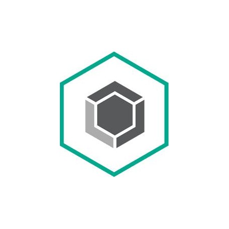 Kaspersky Lab Encryption f/ Endpoint Open Value Subscription (OVS) Aggiuntivo Multilingua 3 anno/i (KL4883XAKTH)