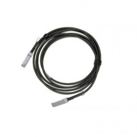 Mellanox Technologies MCP1600-C01AE30N cavo di rete Nero 1,5 m (MCP1600-C01AE30N)