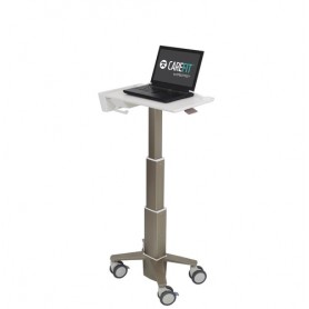 Ergotron C50-1100-0 supporto per notebook 39,6 cm (15.6") Supporto per computer portatile Grigio (C50-1100-0)