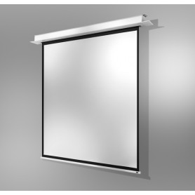 Celexon 1000000863 schermo per proiettore 1:1 (1000000863)