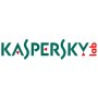 Kaspersky Lab Hybrid Cloud Security Server European Edition, 20-24 VirtualServer, 1y, Base Licenza 1 anno/i (KL4255XANFS)