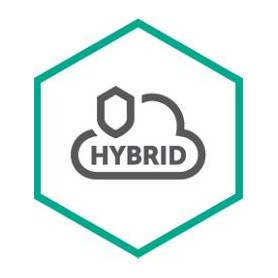 Kaspersky Lab Hybrid Cloud Security for Server Base 1 anno/i (KL4255XACFS)
