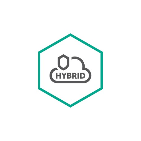 Kaspersky Lab Hybrid Cloud Security Rinnovo (KL4253XAEFR)