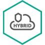 Kaspersky Lab Hybrid Cloud Security (KL4253XAADS)