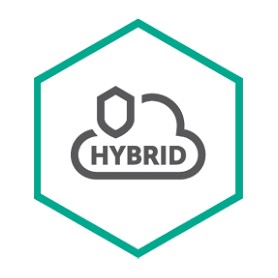 Kaspersky Lab Hybrid Cloud Security (KL4253XAATS)