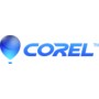 Corel CorelDraw Technical Suite 1 licenza/e Licenza Multilingua (LCCDTSENTMLMNT11)