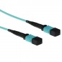 ACT RL7702 cavo a fibre ottiche 2 m MPO/MTP OM3 Colore acqua (RL7702)