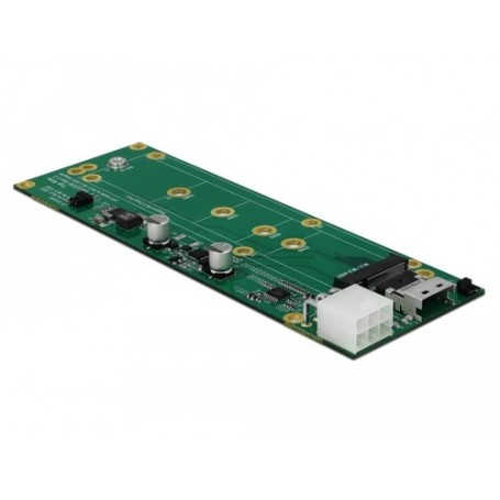 DeLOCK 64052 scheda di interfaccia e adattatore Interno M.2, SAS (64052)