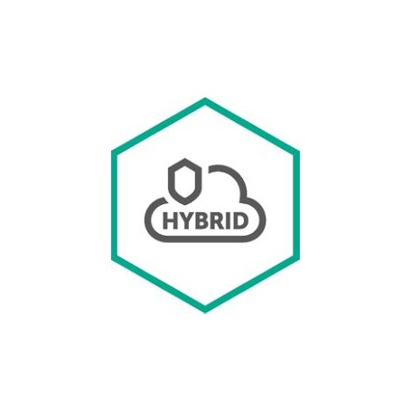 Kaspersky Lab Hybrid Cloud Security for Server Rinnovo 3 anno/i (KL4255XASTR)