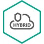 Kaspersky Lab Hybrid Cloud Security for Server Rinnovo 3 anno/i (KL4255XATTR)